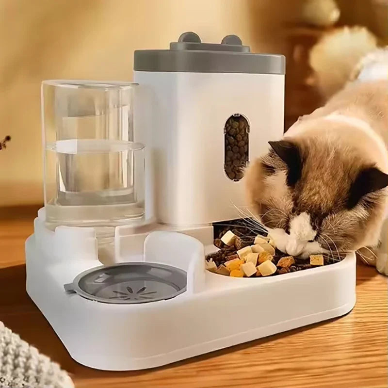 Pet Bowls