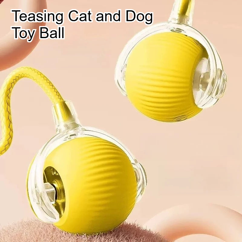 Interactive Pet Ball Toy