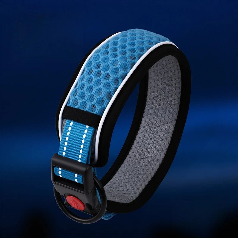 Adjustable Dog Walking Collar & Leash