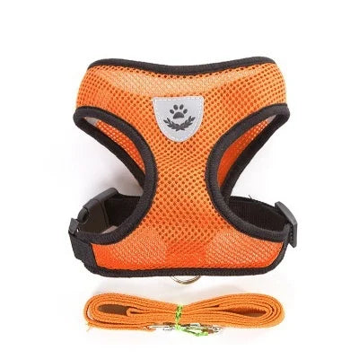 Retractable Dog Leash – 5m