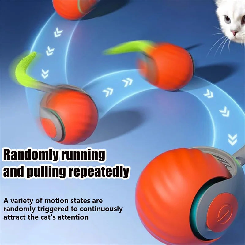 Electric Catnip Interactive Ball Toy