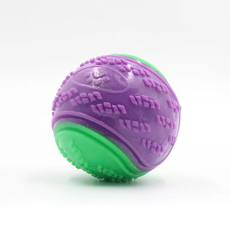 Squeaky TPR Ball Toy for Dogs