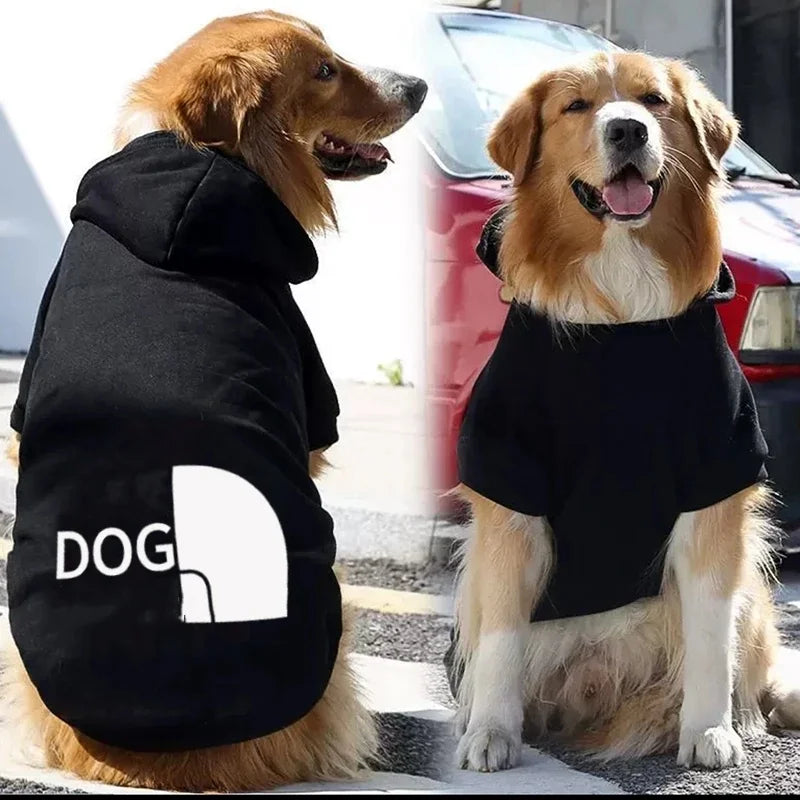 Cozy Puppy Sweater