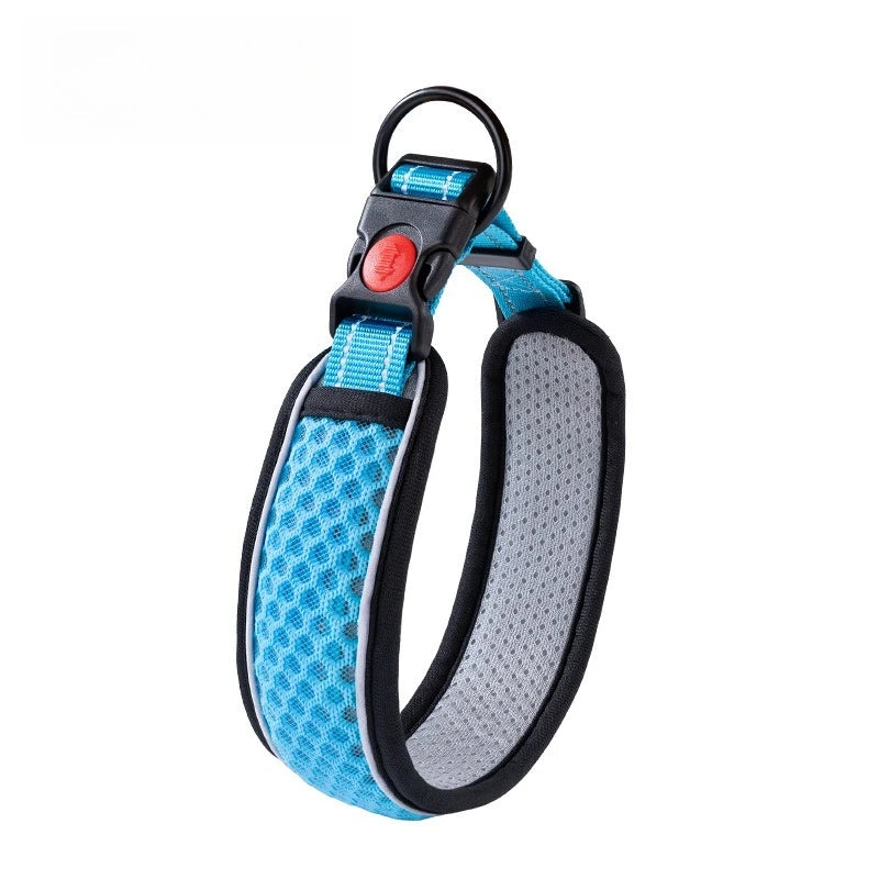Adjustable Dog Walking Collar & Leash