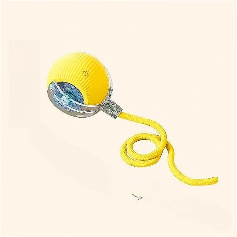 Interactive Pet Ball Toy