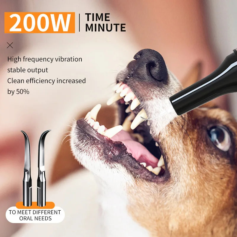 Electric Pet Teeth Cleaning Kit