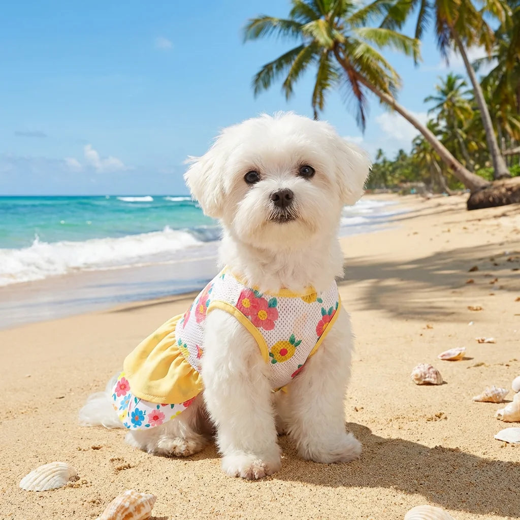 Summer Cooling Outfit for Small Pets