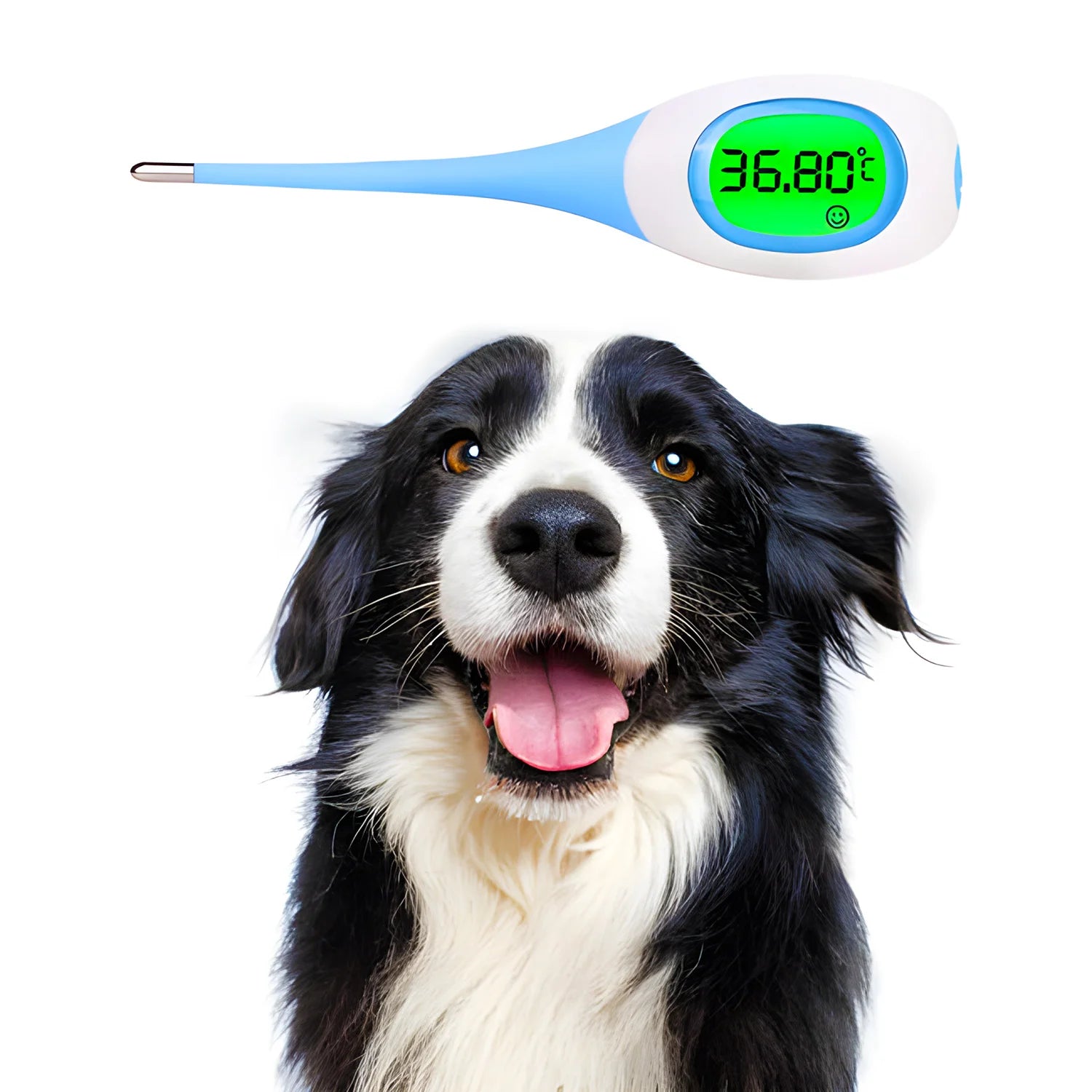 Digital Pet Thermometer