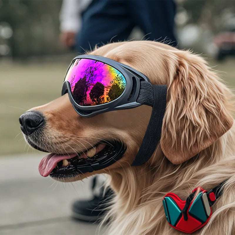 Dog Sunglasses – UV Protection