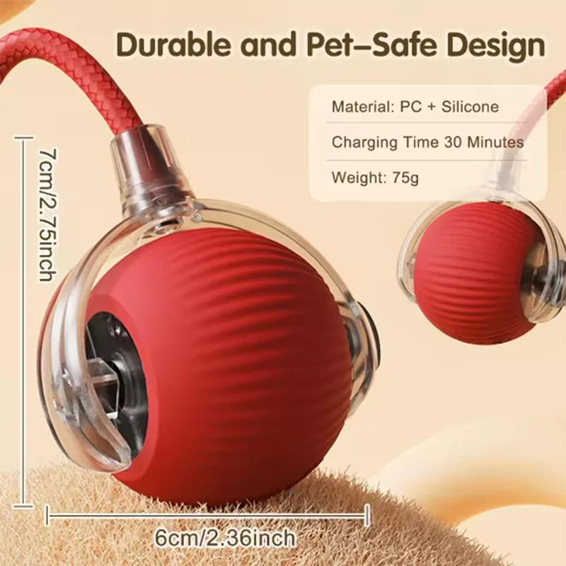 Interactive Pet Ball Toy