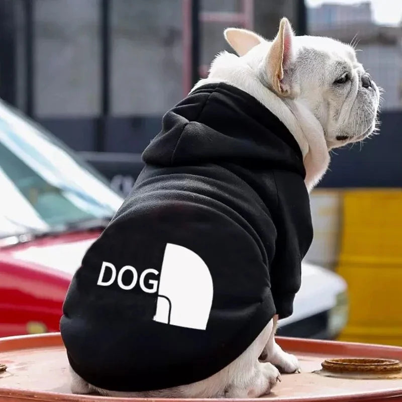 Cozy Puppy Sweater