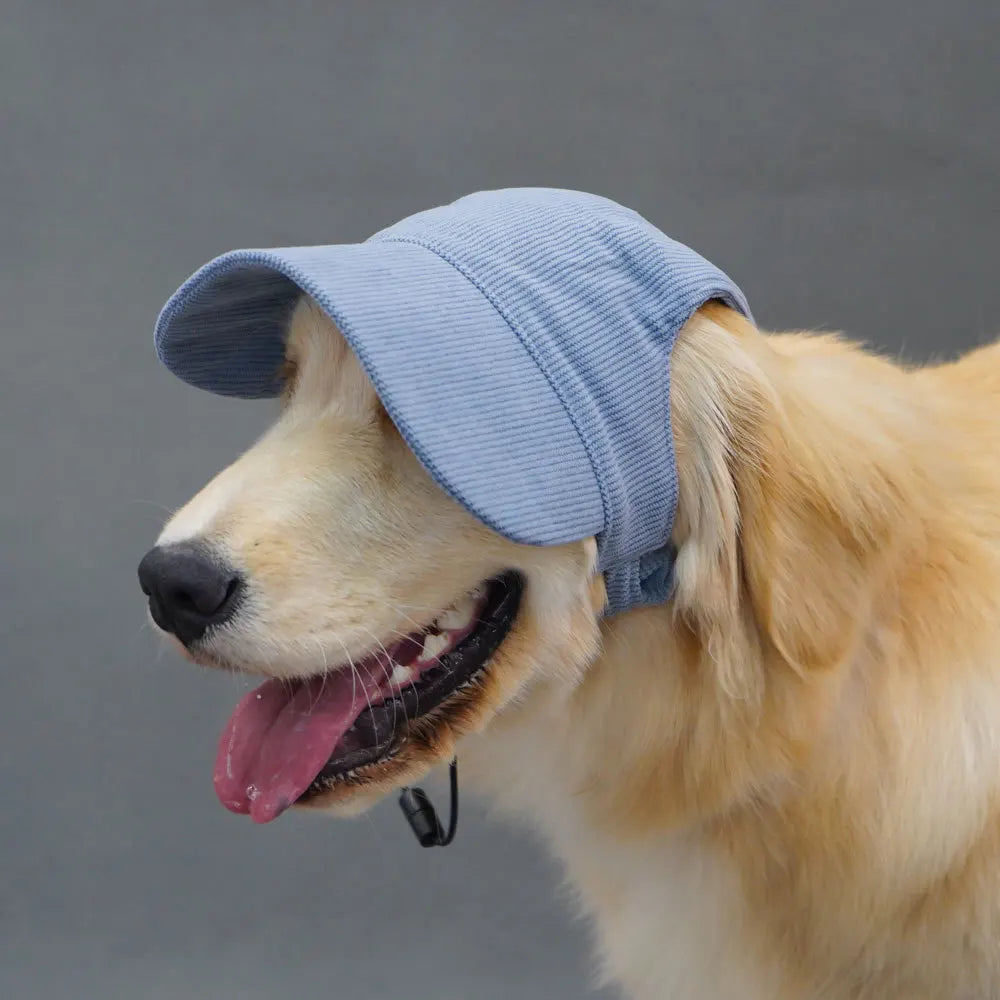 Fashion Big Dog Cap