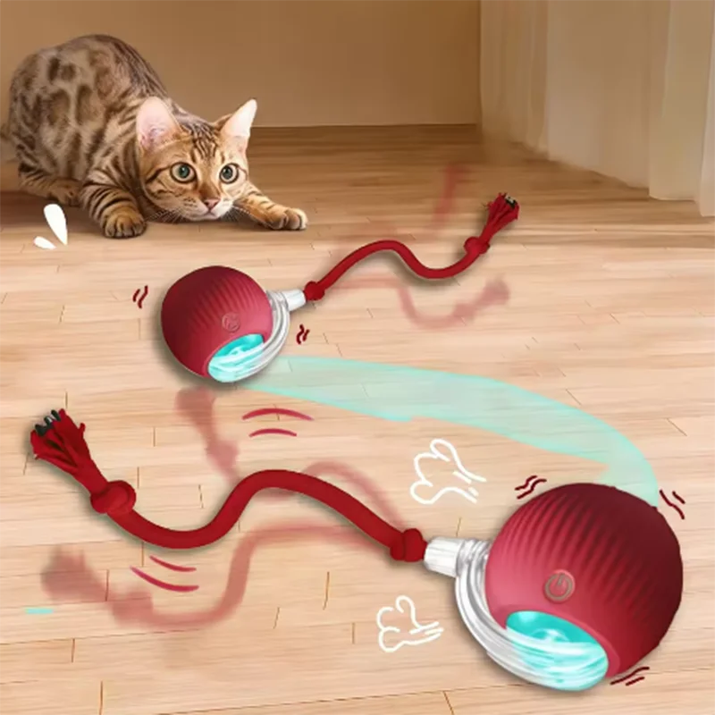 Interactive Pet Ball Toy