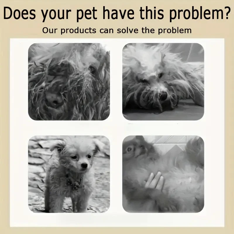 Pet shampoo