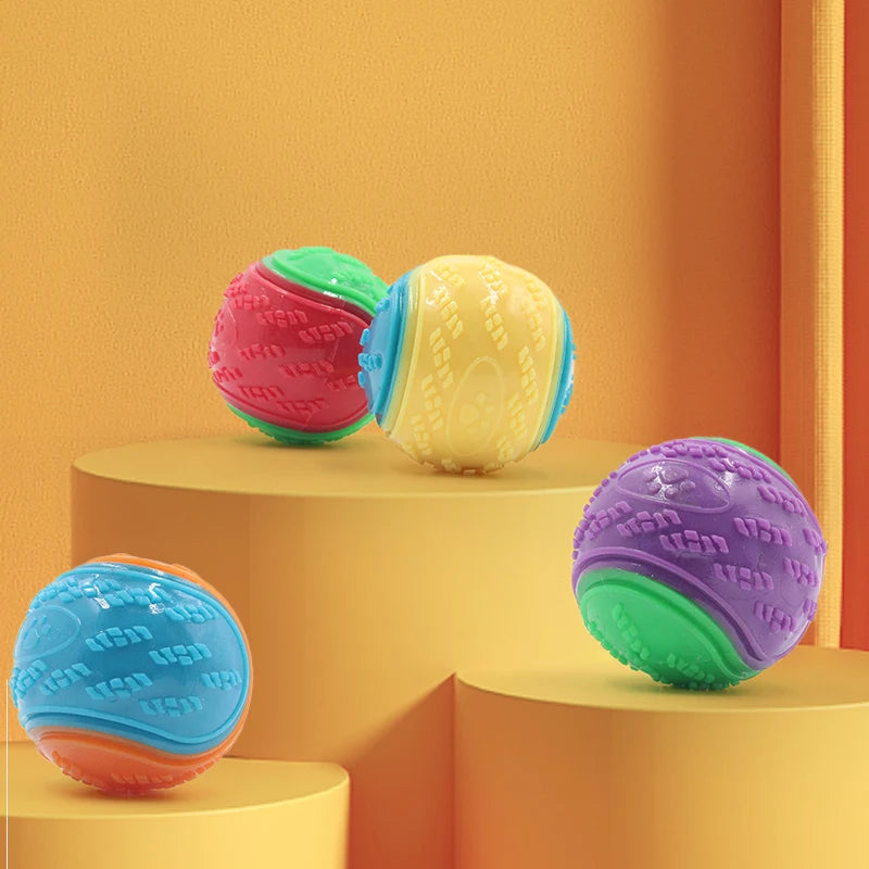 Squeaky TPR Ball Toy for Dogs