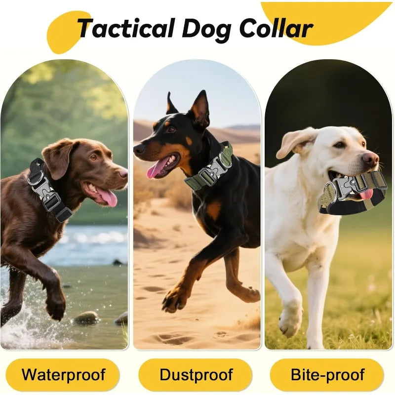 Heavy-Duty Wide Dog Collar with Quick-Release Buckle