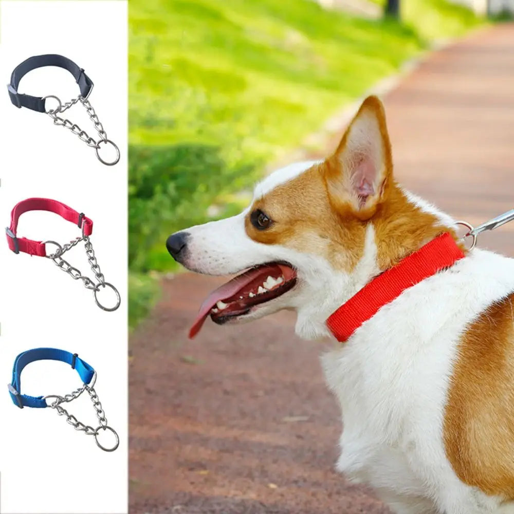 Nylon Slip Training Collar with Chain Link