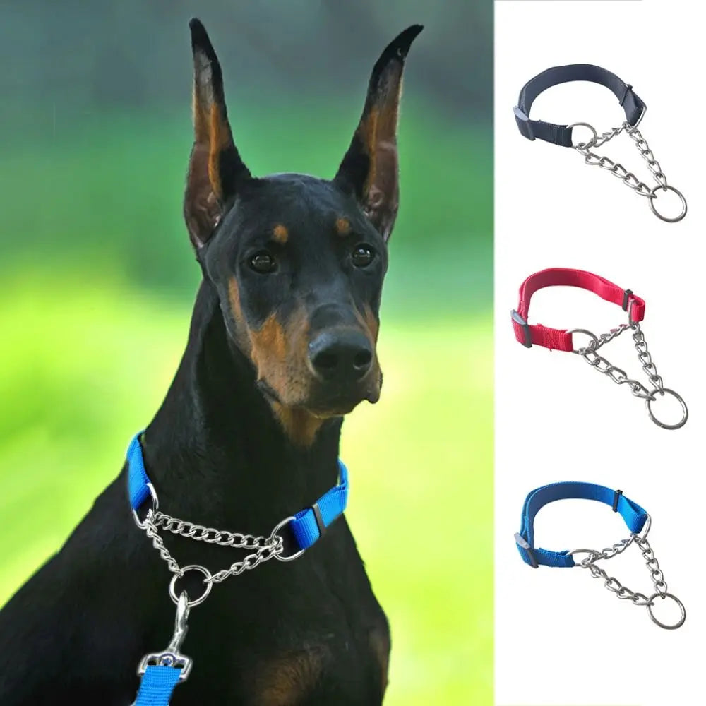 Nylon Slip Training Collar with Chain Link
