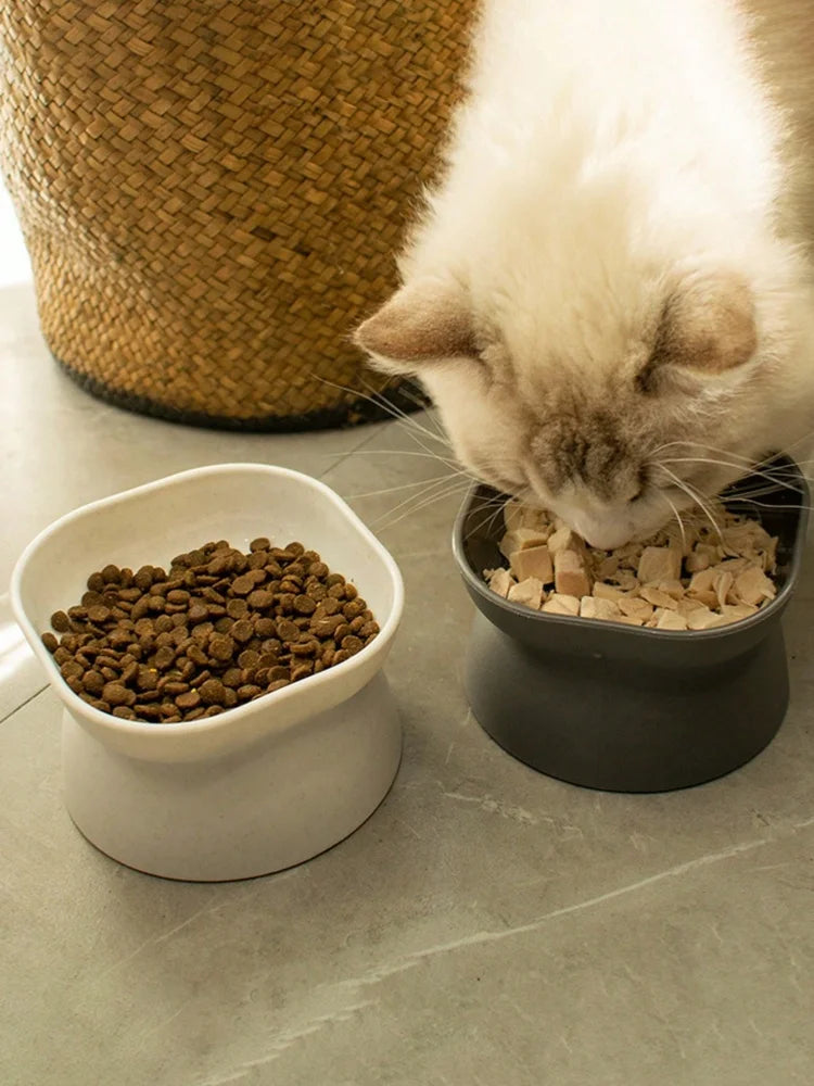 2-in-1 Pet Food & Water Bowl