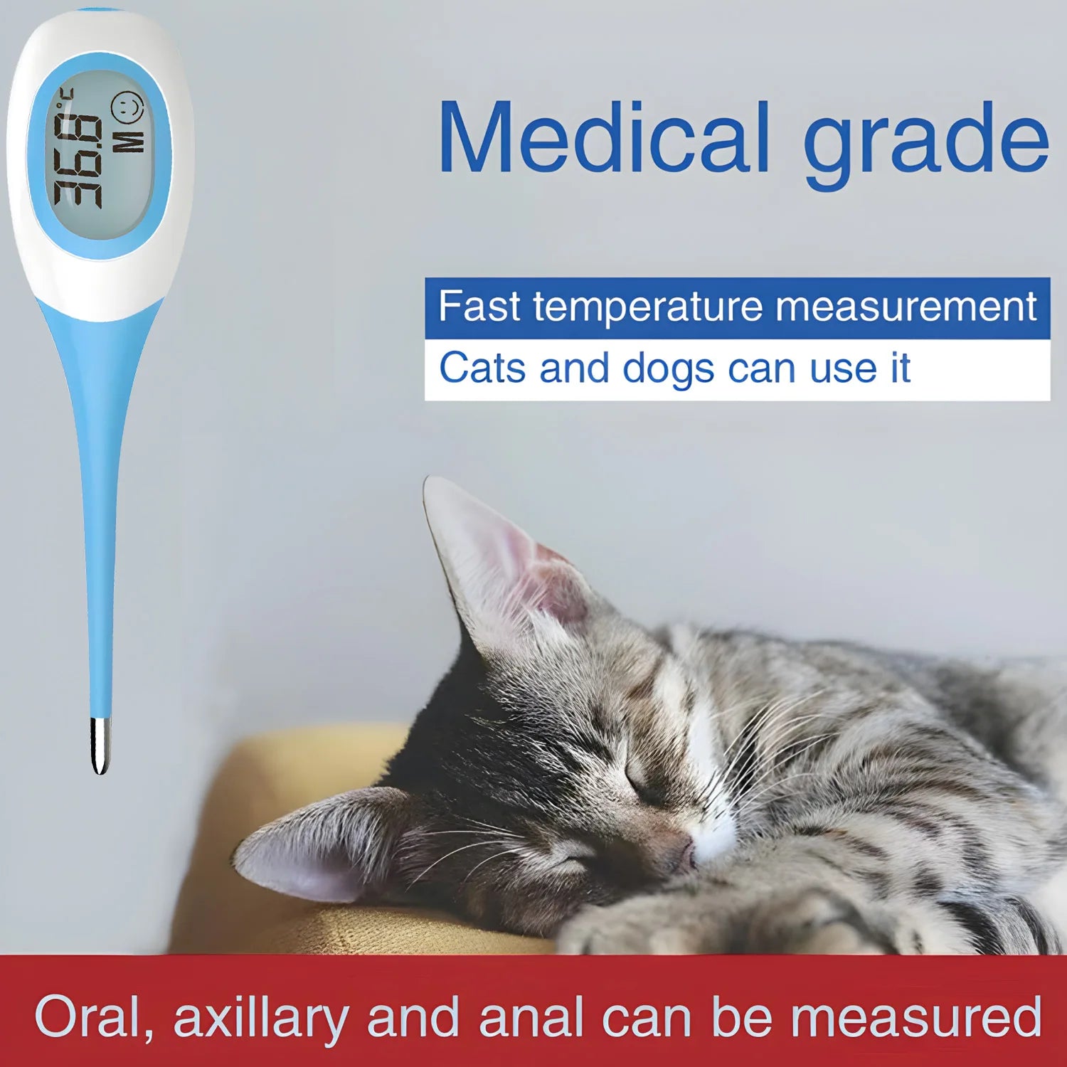 Digital Pet Thermometer