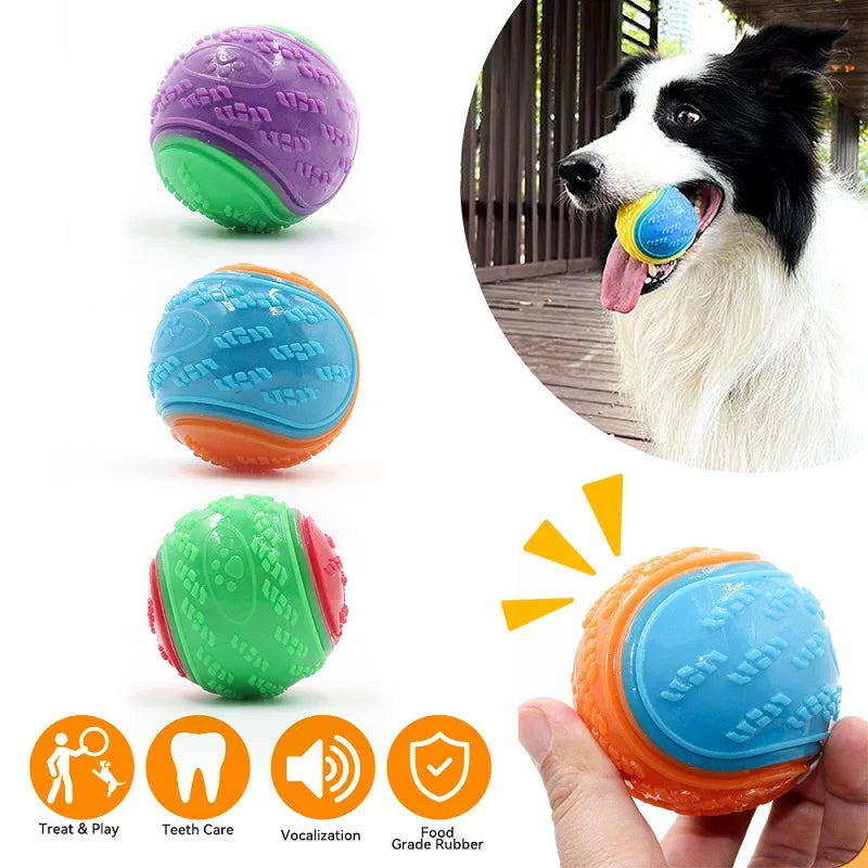 Squeaky TPR Ball Toy for Dogs