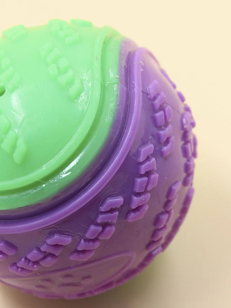 Squeaky TPR Ball Toy for Dogs