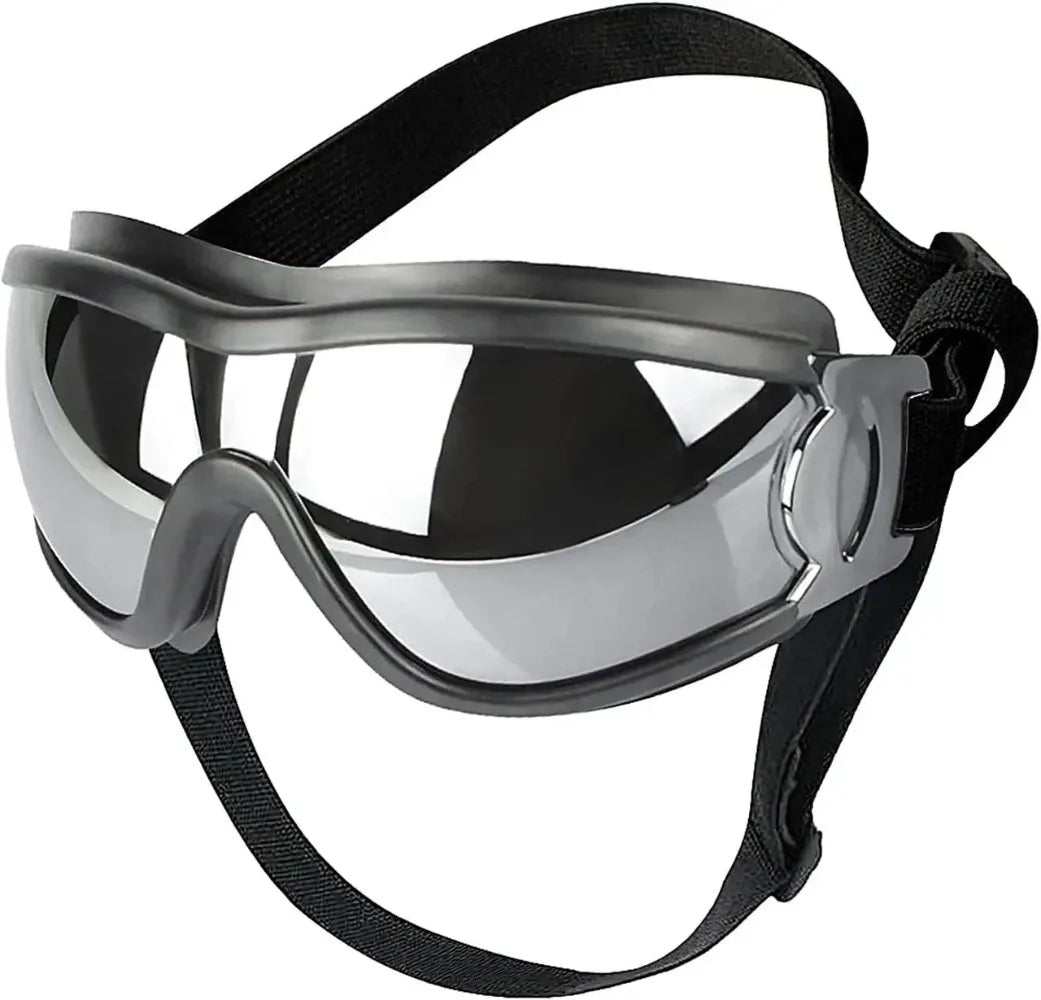 Dog Sunglasses