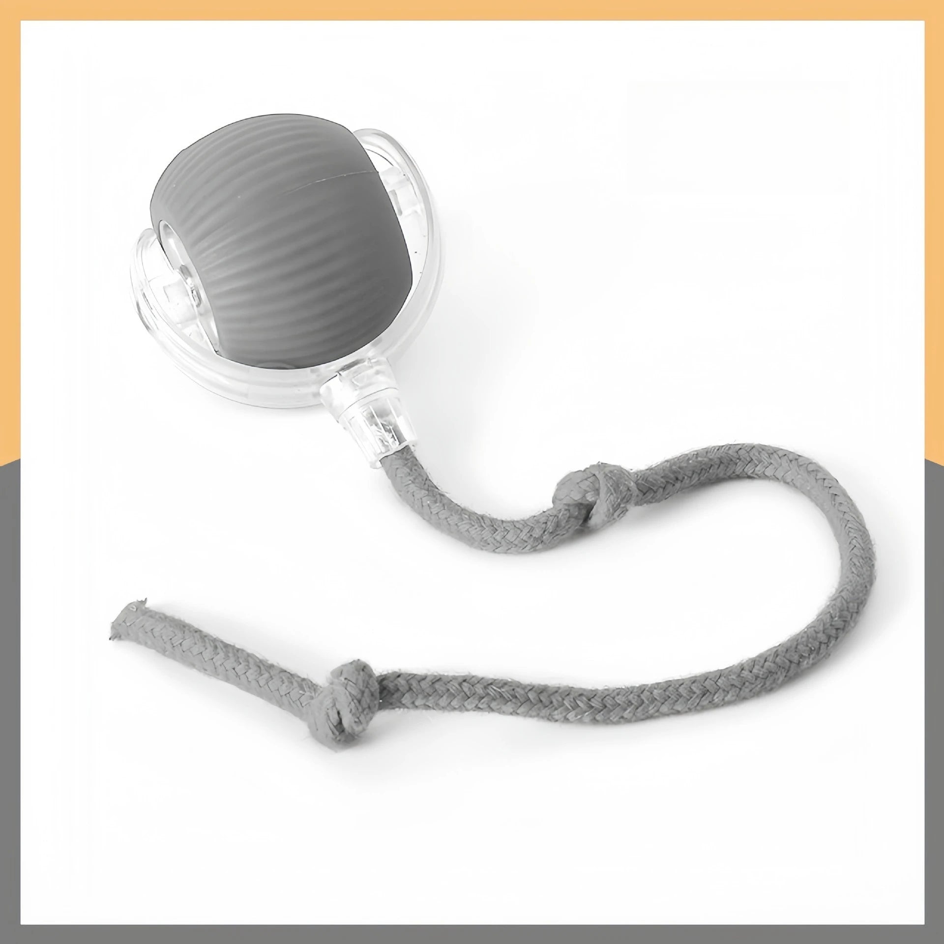 Interactive Pet Ball Toy