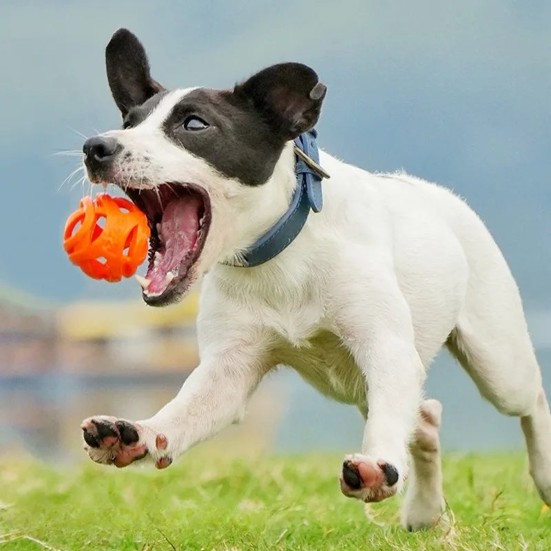 Hollow Elastic Chew Ball for Pets
