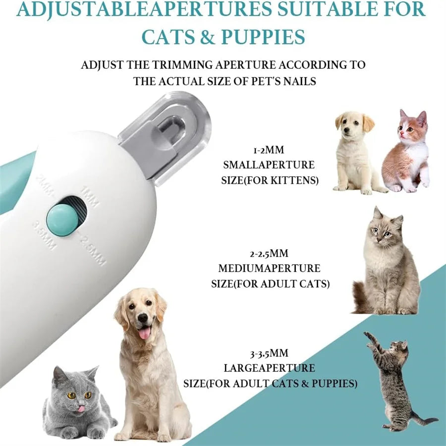 Electric Catnip Interactive Ball Toy