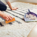 Pet Hair Removal Roller