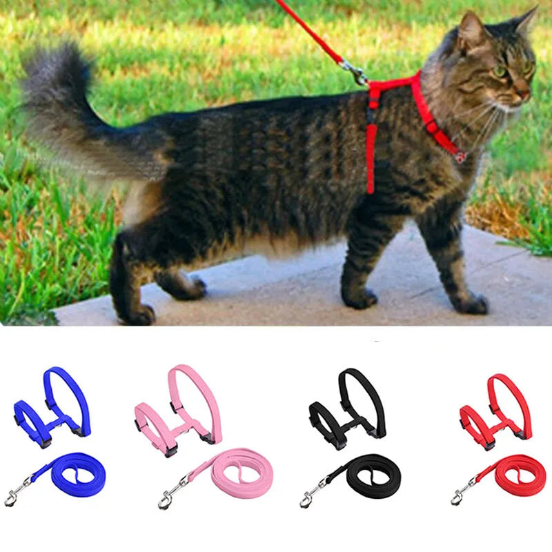 Adjustable Cat Harness & Leash Set