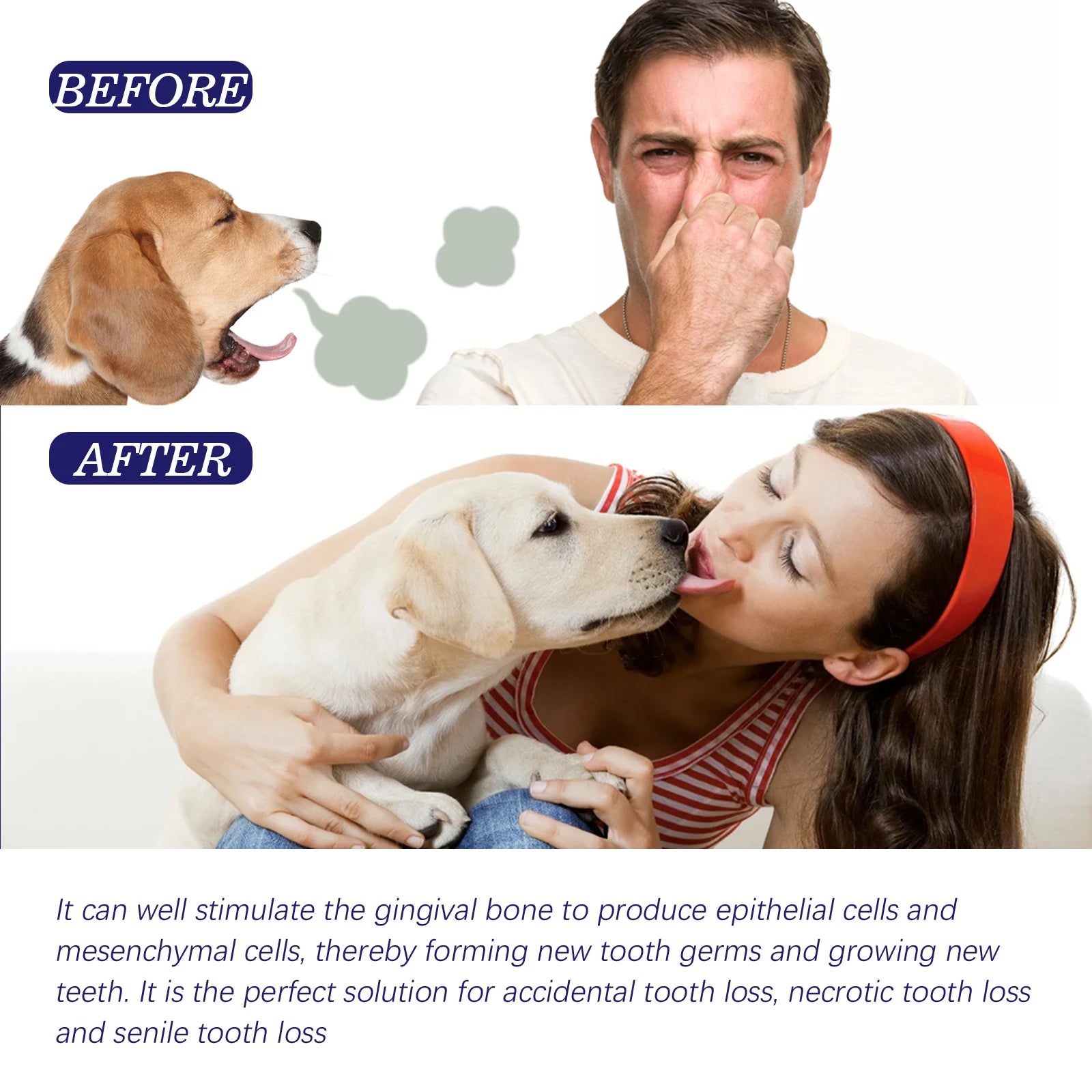 Pet Toothpaste – Tartar & Stain Remover