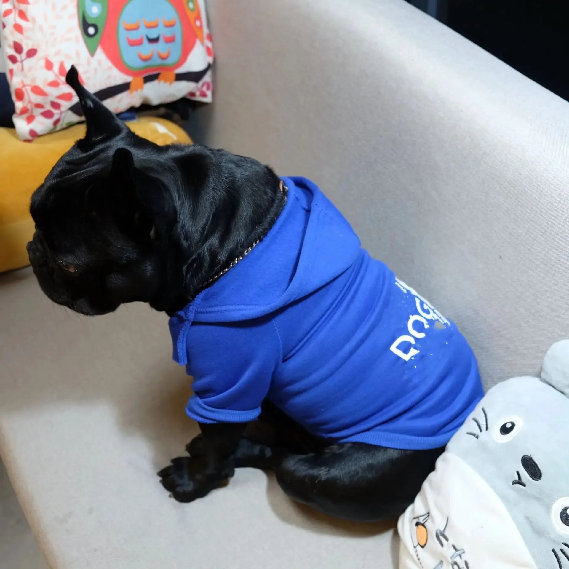 Cozy Puppy Sweater