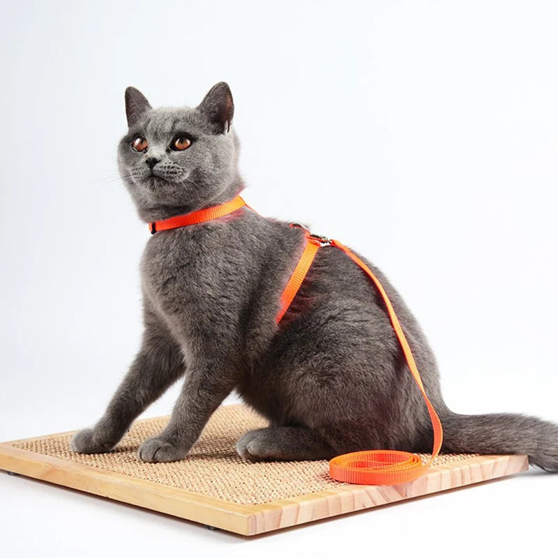 Adjustable Cat Harness & Leash Set