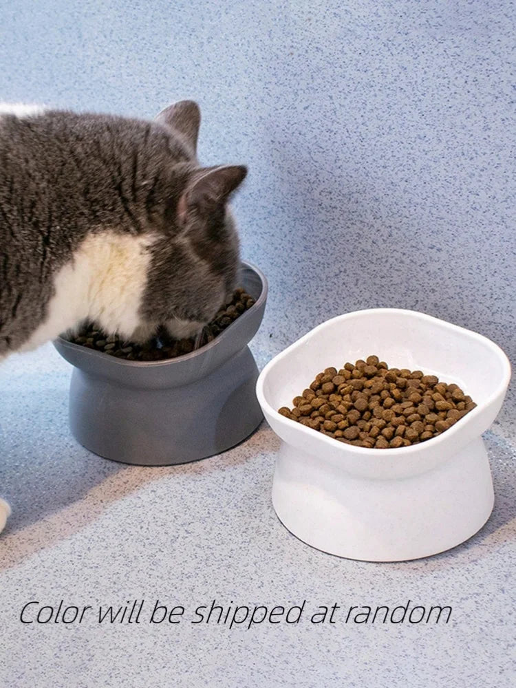 2-in-1 Pet Food & Water Bowl