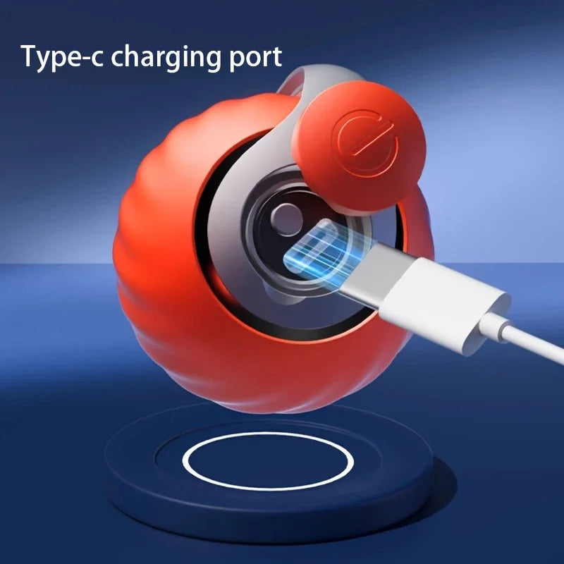 Electric Catnip Interactive Ball Toy