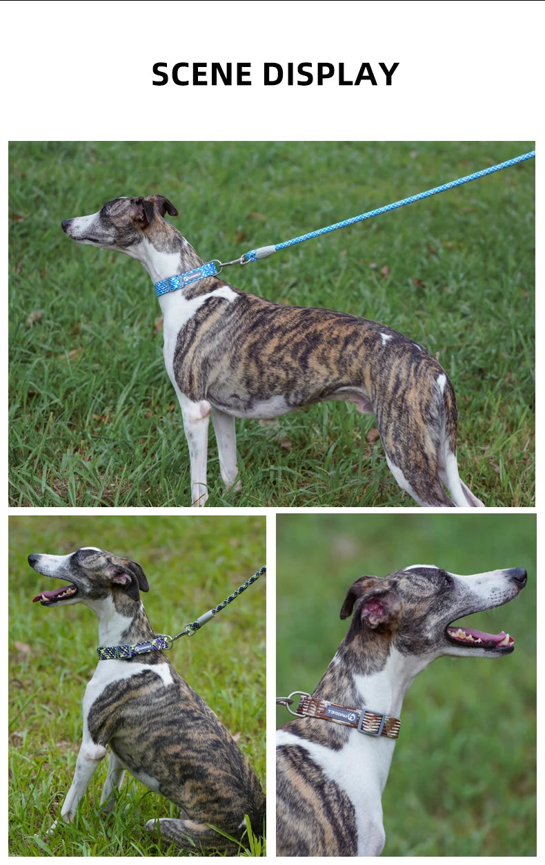 Dual-Handle Bungee Dog Leash