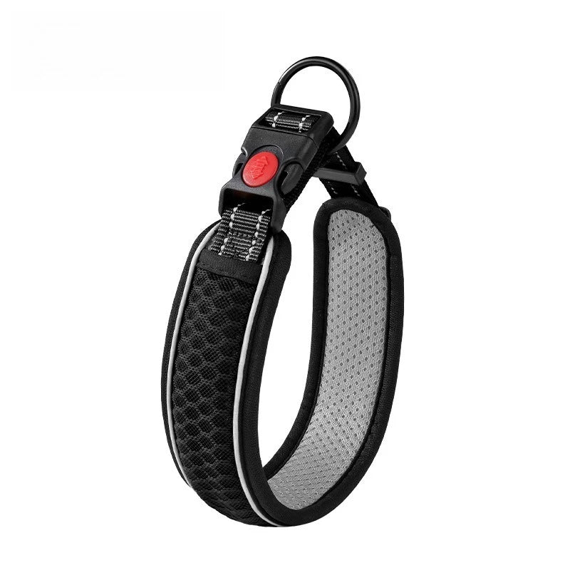 Adjustable Dog Walking Collar & Leash