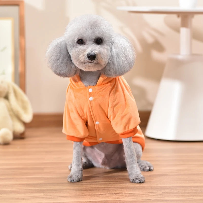 Dog Hoodie – Autumn & Winter Warmth