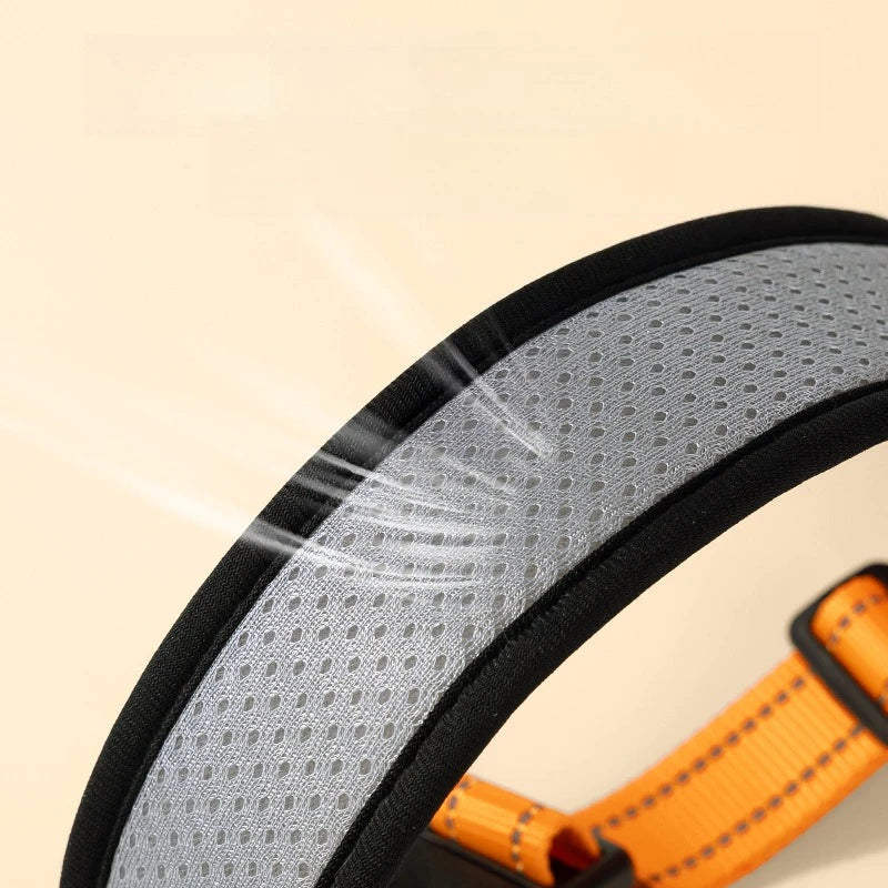 Adjustable Dog Walking Collar & Leash