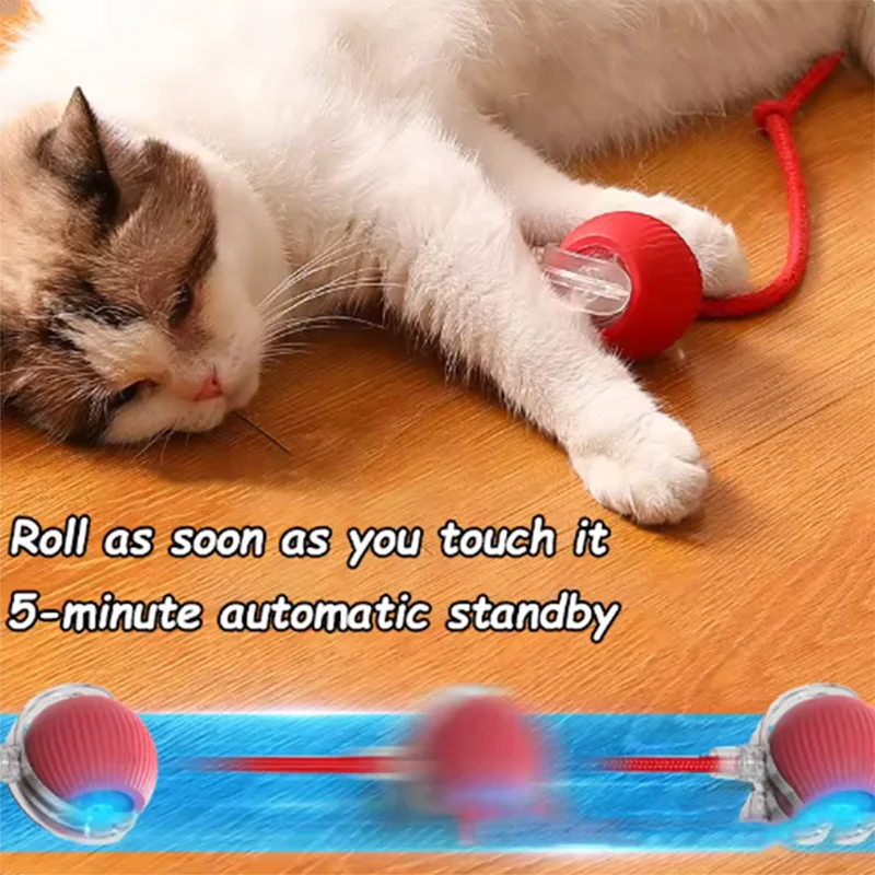 Interactive Pet Ball Toy