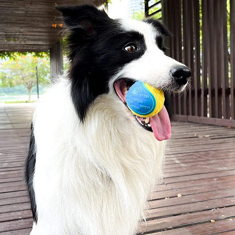 Squeaky TPR Ball Toy for Dogs