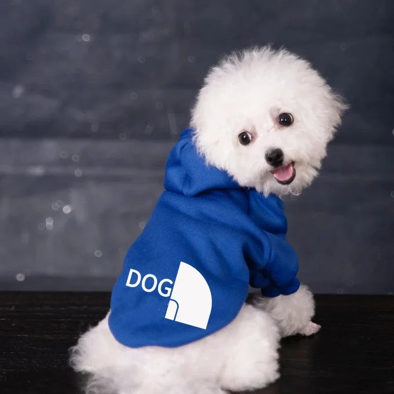 Cozy Puppy Sweater