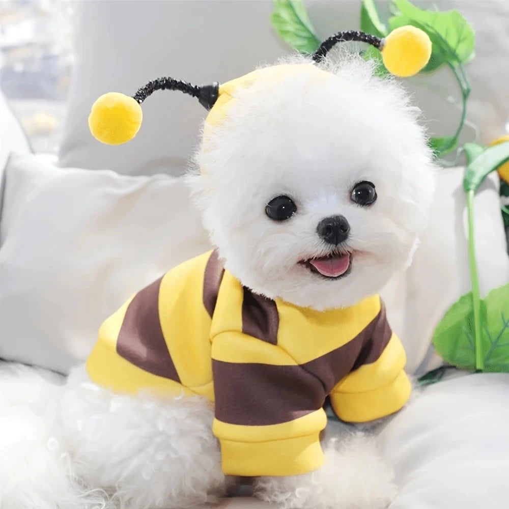 Bee Costume Hoodie for Cats & Dogs