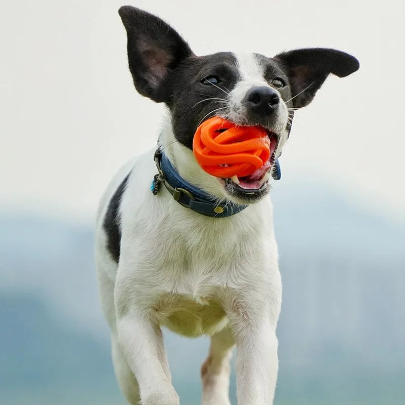 Hollow Elastic Chew Ball for Pets