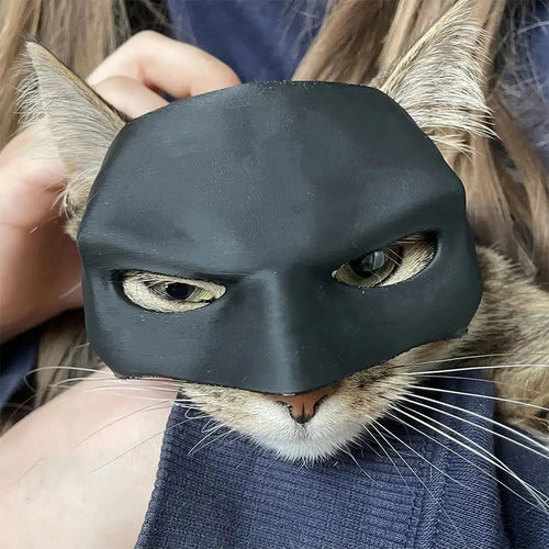 Cat Bat Mask Halloween Costume
