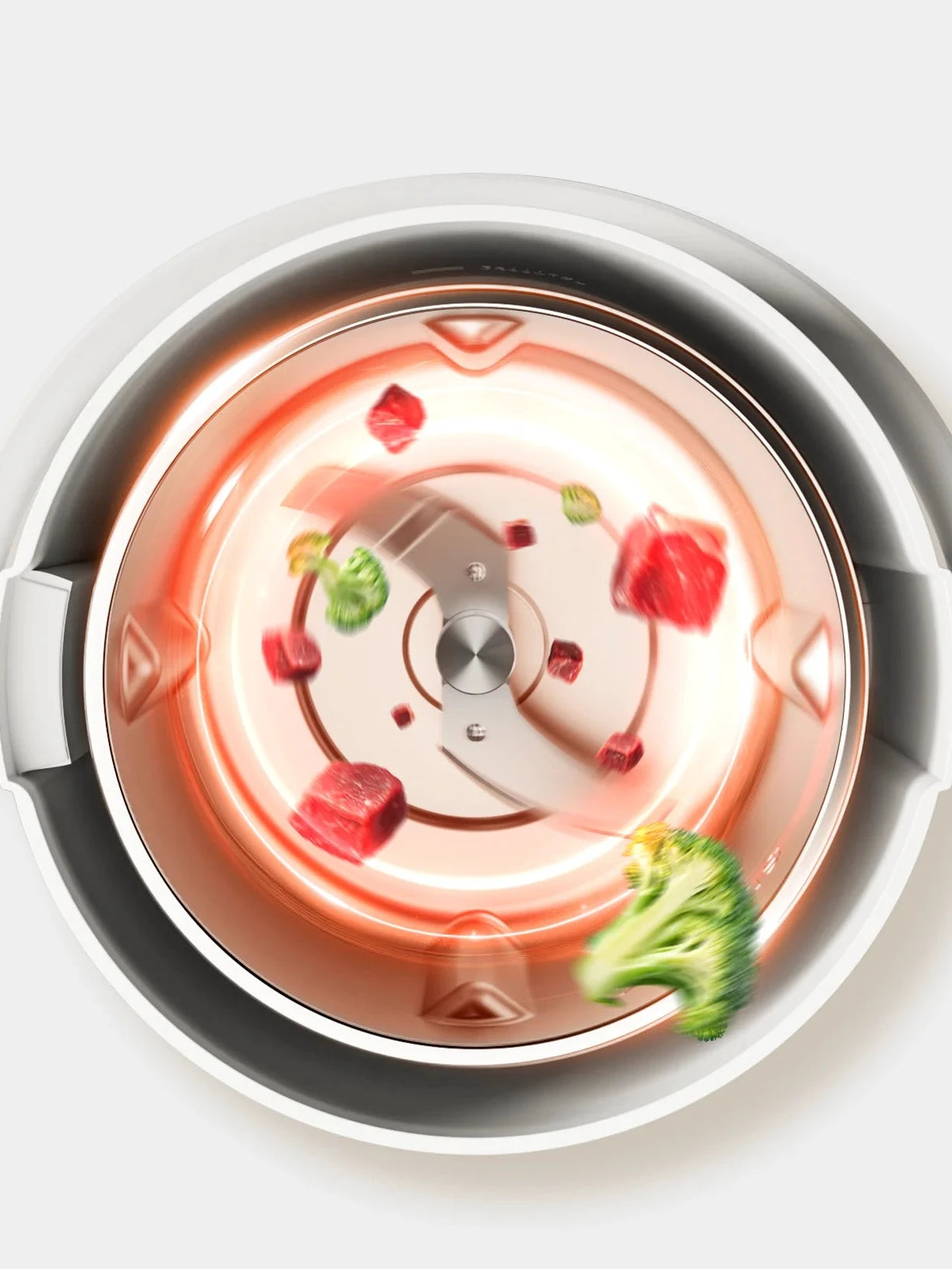Pet Fresh Food Cooking Machine