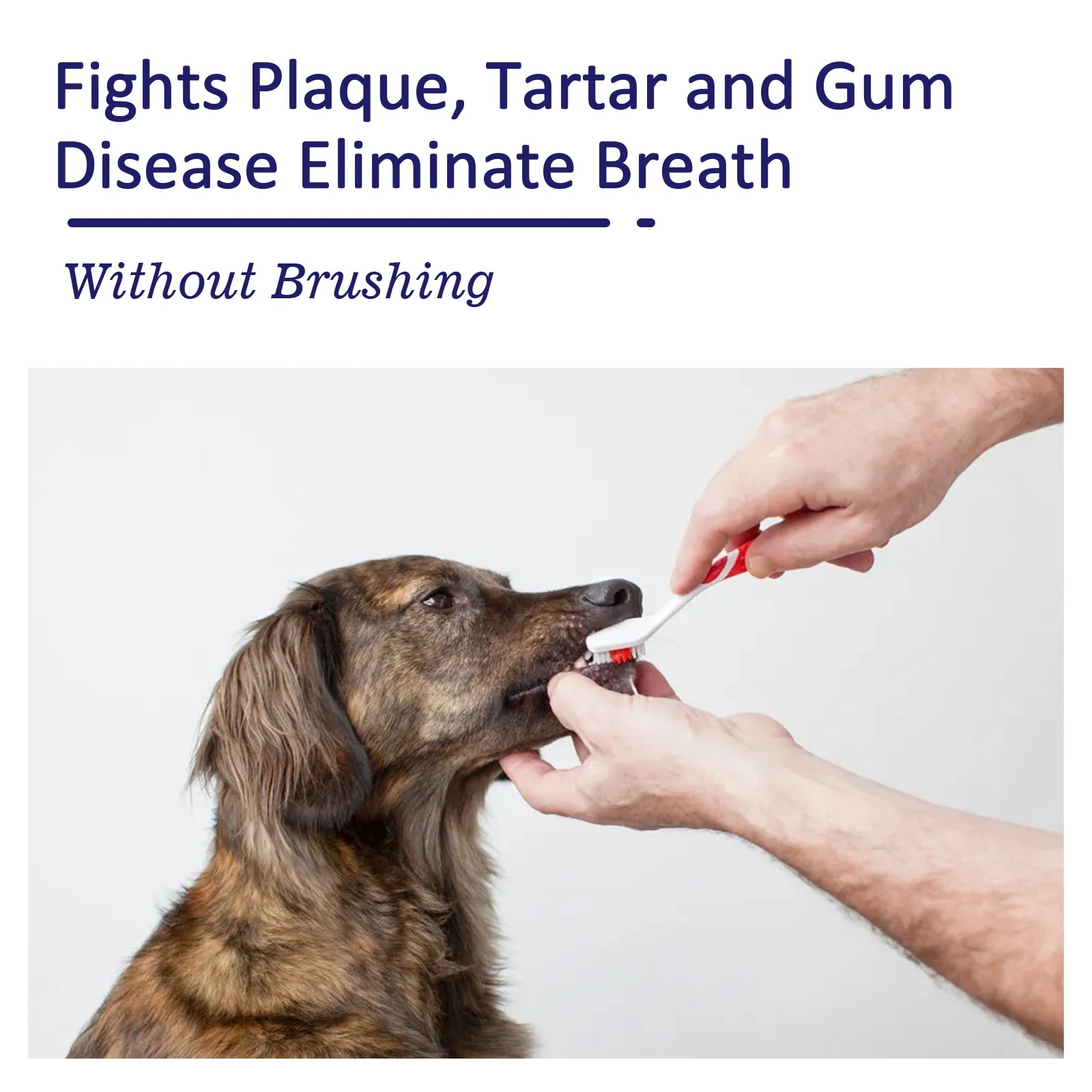 Pet Toothpaste – Tartar & Stain Remover