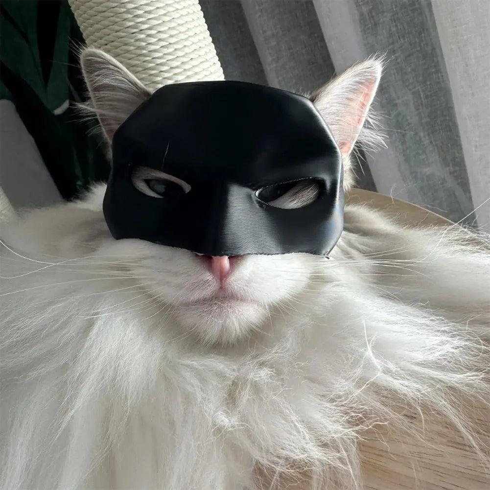Cat Bat Mask Halloween Costume